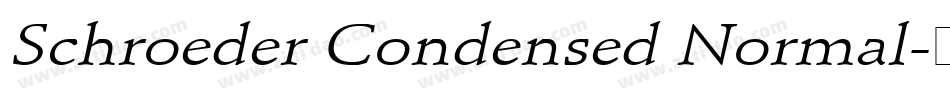 Schroeder Condensed Normal字体转换